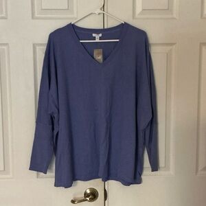 J. Jill Purple Long Sleeve V-Neck Top
